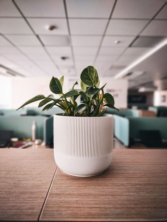 Simple Ways to Personalize Your Workspace